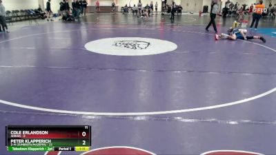 125 lbs Finals (8 Team) - Cole Erlandson, Adrian vs Peter Klapperich, Z-M (Zumbrota/Mazeppa)