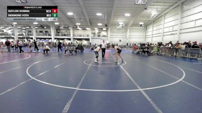 165 lbs Quarterfinal - Daylon Somma, Wethersfield vs Desmond Vota, Milo WC