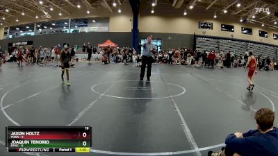 80 lbs Round 2 (4 Team) - Jaxon Holtz, POWA vs Joaquin Tenorio, BTWC