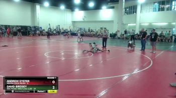 132 lbs Round 1 (16 Team) - Andrew Eyster, Indiana Goon Squad vs David Birdsey, Dog Pound Wrestling Club