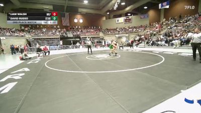 1A 106 lbs 3rd Place Match - David Russo, St Joseph Catholic High School vs Liam Walsh, Milford