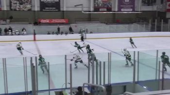 Replay: Home - 2024 Nichols U14 vs Catamounts U14 | Oct 5 @ 4 PM