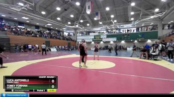 113 lbs Champ. Round 2 - Luca Antonelli, Torrey Pines vs Tobey Forman, Spanish Springs