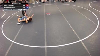 113 lbs Champ. Round 3 - Brock Purdie, Apple Valley vs Adrian Treziok, Storm