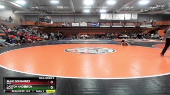 138 lbs Cons. Round 3 - Jaime Dominguez, Buhl vs Daxton Anderton, Burley