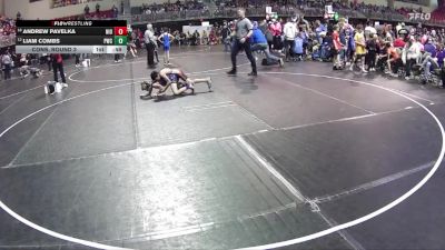 85 lbs Cons. Round 3 - Liam Combs, Pioneer Wrestling Club vs Andrew Pavelka, Niobrara/Verdigre