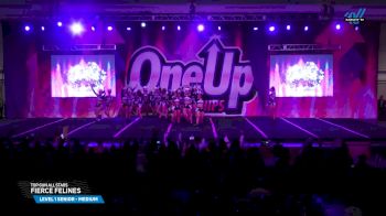 Top Gun All Stars - Fierce Felines [2025 L1 Senior - Medium Day 2] 2025 One Up Grand Nationals