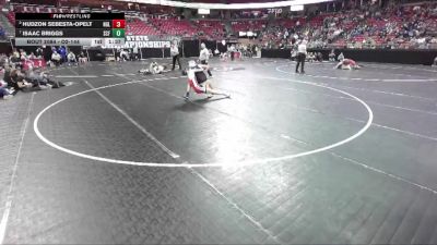 D2-144 lbs Quarterfinal - Hudzon Sebesta-Opelt, Neillsville/Greenw./Loyal vs Isaac Briggs, Saint Croix Falls