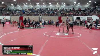 109 lbs Quarterfinal - Joy Cantu, Merrillville vs Senniah Henderson, Lafayette Jeff