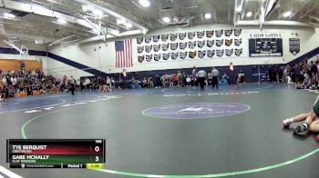 165 lbs Quarterfinal - Tye Berquist, Crestwood vs Gabe McNally, Clay (Oregon)