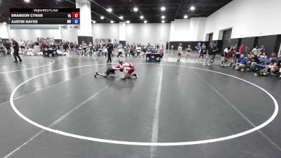 120 lbs Brandon Cynar, Virginia vs Austin Hayes, Maryland