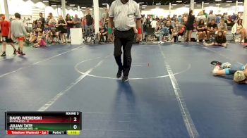 80 lbs Round 3 (6 Team) - Julian Tate, Mat Warriors Red vs David Wesierski, 84 Athletes