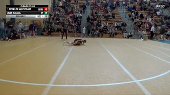 100 lbs Round 2 - Everlee Whitcome, Waverly Area Wrestling Club vs Livie Kallal, New Prague