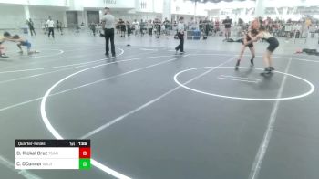 88 lbs Quarterfinal - Declan Rickel Cruz, Team Aggression vs Caleb OConnor, Gold Rush Wrestling
