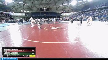 100 lbs Quarterfinal - Brody Johnson, South West Washington Wrestling Club vs Joshua Wilson, Mat Demon Wrestling Club