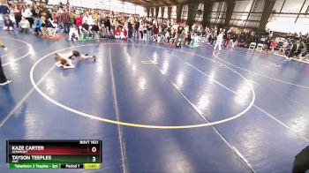 74 lbs Quarterfinal - Kaze Carter, Altamont vs Tayson Teeples, JWC