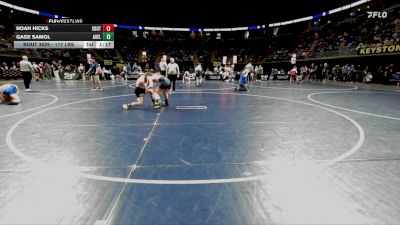 117 lbs Consy 1 - Noah Hicks, South Williamsport vs Gage Samol, Avella
