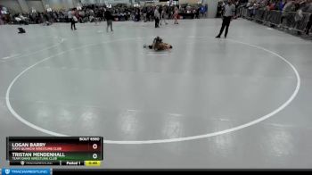 87 lbs Cons. Round 4 - Logan Barry, Mayo Quanchi Wrestling Club vs Tristan Mendenhall, Team Idaho Wrestling Club