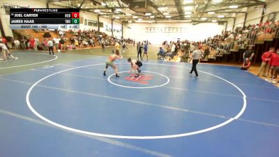 165 lbs Champ. Round 2 - Joel Carter, Heidelberg vs James Haas, Thomas More