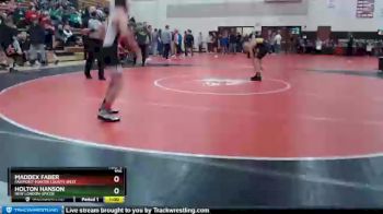 106 lbs Cons. Round 3 - Maddex Faber, Fairmont-Martin County West vs Holton Hanson, New London-Spicer
