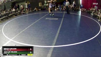 100 lbs Round 3 (6 Team) - Waylon Nelson, Idaho vs Bryce Carlson, Team USA