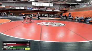 98 lbs Round 2 - Bradley Nelson, Elko vs Diesel Clark, Spring Creek