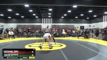 95 lbs 2nd Wrestleback (8 Team) - Nathaniel Trieu, Elite Ath Club DZ (IN) vs Colton Schultz, Short Time