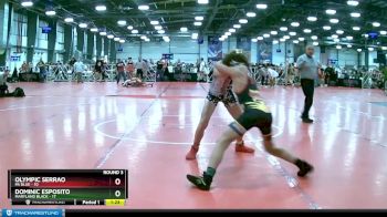 96 lbs Rd# 3 12:00pm Friday - Olympic Serrao, PA Blue vs Dominic Esposito, Maryland Black