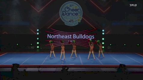 Northeast Bulldogs - Eastern [2024 Western New York Pop Warner Wednesday] 2024 Pop Warner National Cheer & Dance Championship