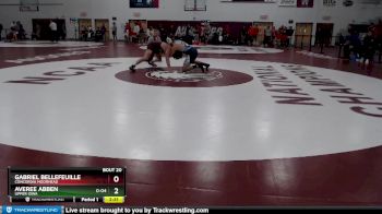 141 lbs Champ. Round 2 - Gabriel Bellefeuille, Concordia Moorhead vs Averee Abben, Upper Iowa