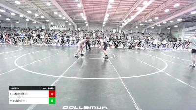 132 lbs Consi Of 64 #2 - Lane Metcalf, WV vs Vincenzo Rubino, NY