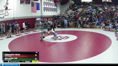 113 lbs Quarterfinal - Benjamin Lee, Palo Verde vs Fernando Mejia, Centennial