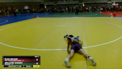 85 lbs Champ. Round 1 - Elias Nelson, WDC (Wadena/Deer Creek) vs Benjamin Gadient, Goodhue