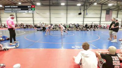 230 lbs Rr Rnd 2 - Harry Eckman, Wayne Danger - MS vs Andrew Oldmixon, CTWHALE Orca - MS