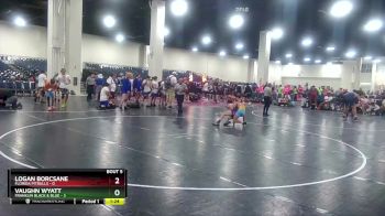 113 lbs Round 2 (6 Team) - Logan Borcsane, Florida Pitbulls vs Vaughn Wyatt, Franklin Black & Blue