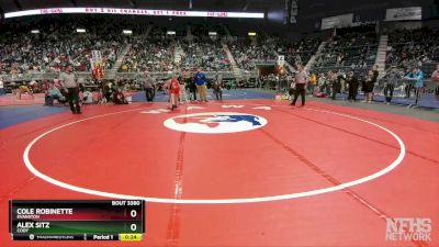 3A-165 lbs 5th Place Match - Cole Robinette, Evanston vs Alex Sitz, Cody