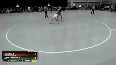 132 lbs Cons. Round 5 - Jace Lillie, D3 Wrestling Club vs Evan Erpenbach, Iowa