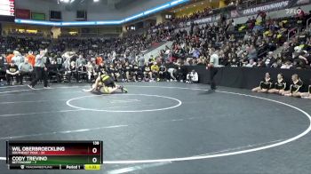 138 lbs Finals (1st & 3rd) - Wil Oberbroeckling, Southeast Polk vs Cody Trevino, Bettendorf