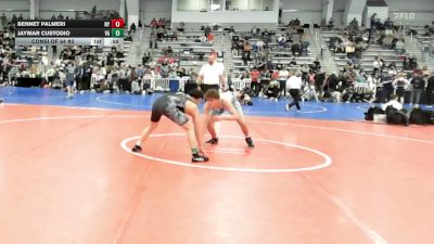 138 lbs Consi Of 64 #2 - Bennet Palmeri, NY vs Jaymar Custodio, VA