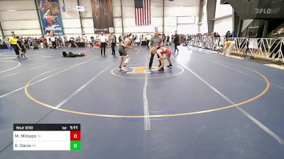 119 lbs Final - Mason Milsaps, TX vs Grayson Davis, PA