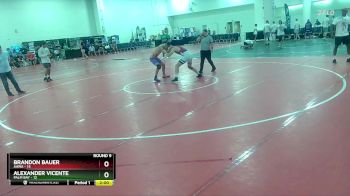 150 lbs Round 9 (10 Team) - Alexander Vicente, Palm Bay vs Brandon Bauer, AAWA