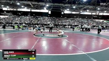 145 lbs Cons. Round 4 - Bianca Cluff, Wasatch vs Noel Shick, Skyline