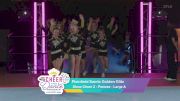 Show Cheer 2 - Plainfield Saints Golden Glitz [2025 Peewee Day 1] 2025 Pop Warner National Cheer & Dance Championship
