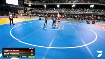 6A 215 lbs Champ. Round 1 - Ethan Anderson, Cy-Fair vs Cooper Johnson, Coppell