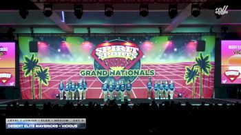 Desert Elite Mavericks - Vicious [2026 L1 Junior - Flex - Medium Day 3] 2026 Spirit Sports Grand Nationals