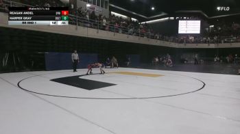 51 lbs Rr Rnd 1 - Reagan Andel, Spring Grove vs Harper Gray, Bolton