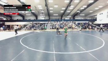 125 lbs Finals (2 Team) - Jacob Delvecchio, York vs Cosmo Damiani, Ithaca