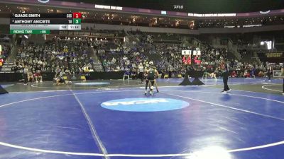 125 lbs Quarterfinal - Quade Smith, Chadron St. vs Anthony Aniciete, Tiffin