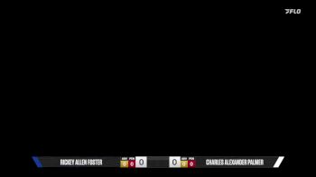 Charles Alexander Palmer vs Rickey Allen Foster 2025 Pan Jiu Jitsu IBJJF Championship