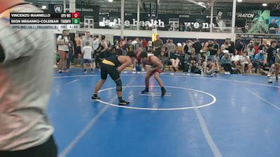 134 lbs Final - Vincenzo Mannello, GPS Red - HSC vs Dion Mesanko-Coleman, Triumph Maize - HSC